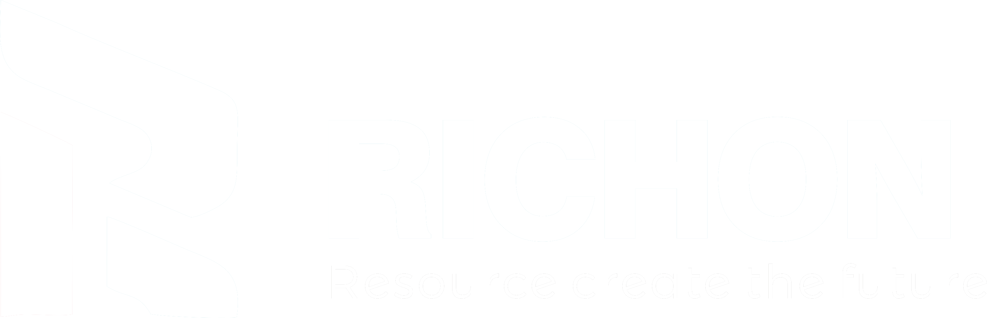 Richon Group Egg Tray Machine Manufacturer