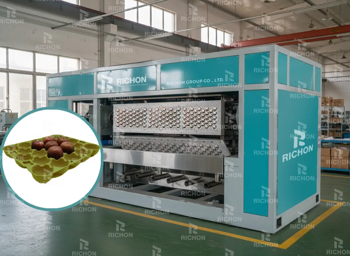 Fully automatic apple tray production line with integrated drying and stacking, featuring energy-saving airflow design with 11–14% higher efficiency and reduced labor requirements