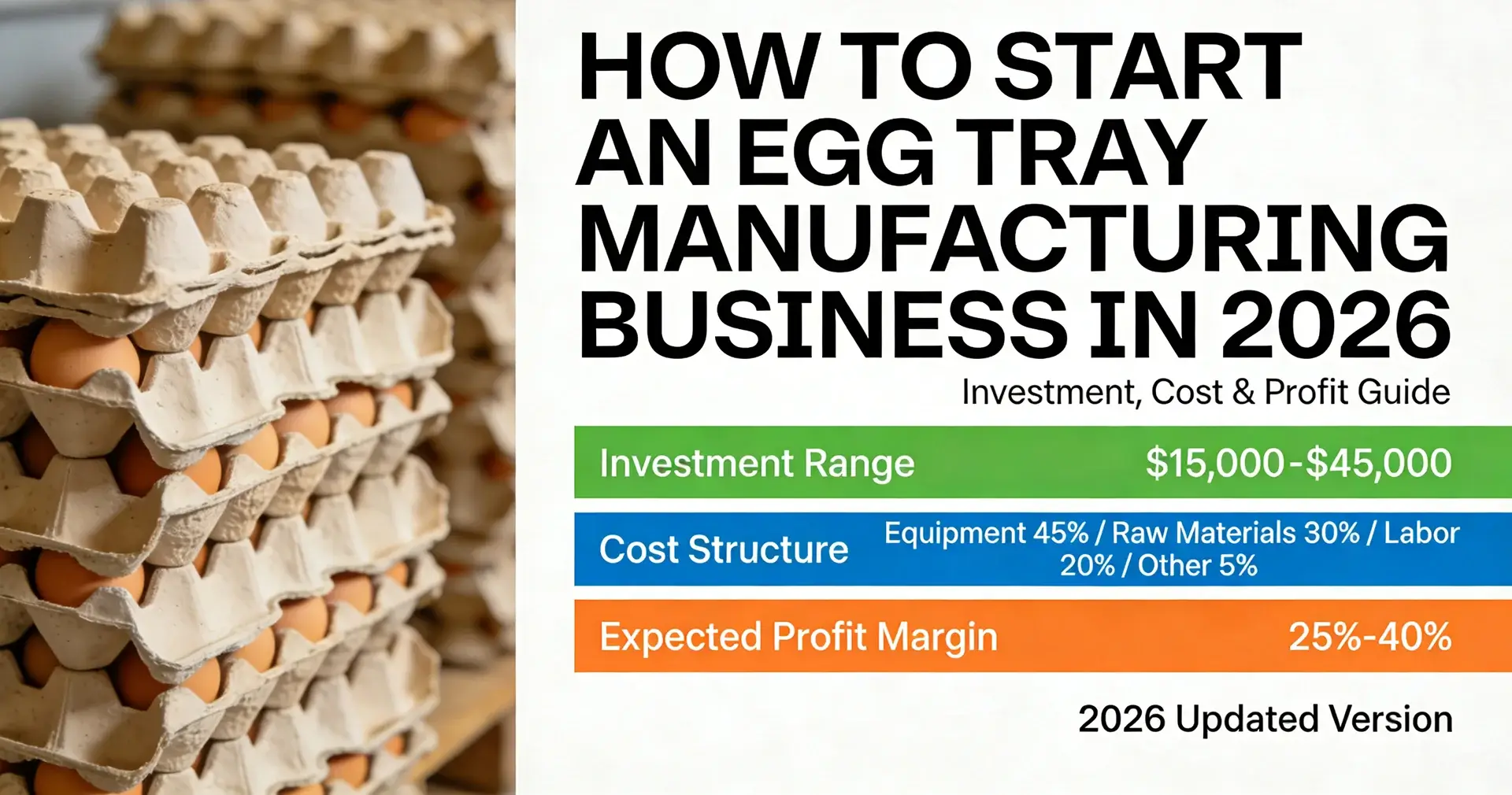 Egg tray manufacturing production line showing pulping system, forming machine and drying system in factory for starting egg tray business.