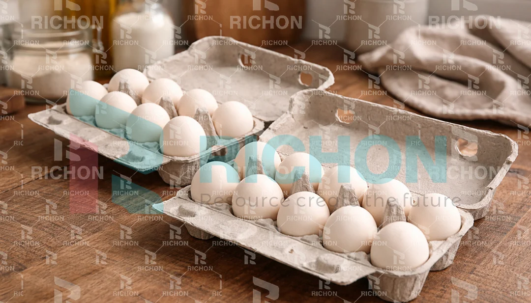 Paper pulp molded egg cartons for retail packaging
