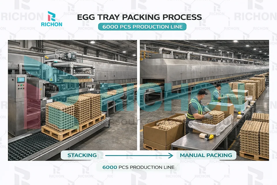 egg tray packing process showing stacking and manual packing in 6000 pcs production line