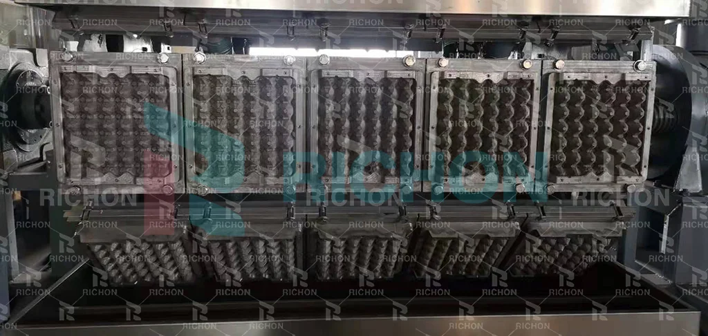 Multiple egg tray molds installed in a forming machine