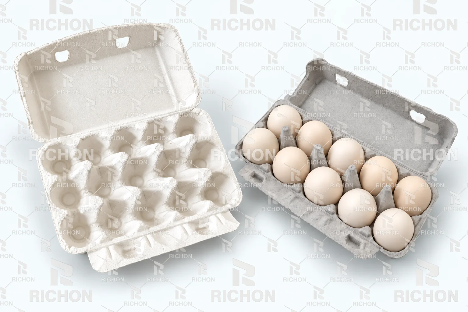Source-based illustration of an empty 15-cell pulp carton beside a 10-cell carton holding eggs