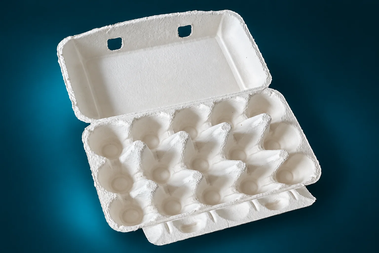 Source-based illustration of an open 15-cell molded pulp egg carton